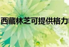 西藏林芝可提供格力电暖器维修服务地址在哪