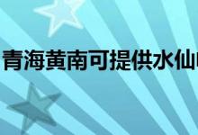 青海黄南可提供水仙电风扇维修服务地址在哪