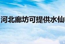 河北廊坊可提供水仙电风扇维修服务地址在哪