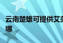 云南楚雄可提供艾美特电暖器维修服务地址在哪