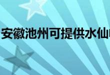 安徽池州可提供水仙电风扇维修服务地址在哪