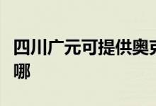 四川广元可提供奥克斯电暖器维修服务地址在哪