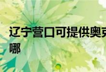 辽宁营口可提供奥克斯电暖器维修服务地址在哪