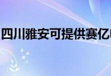 四川雅安可提供赛亿电暖器维修服务地址在哪