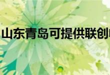 山东青岛可提供联创电暖器维修服务地址在哪