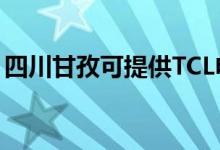 四川甘孜可提供TCL电暖器维修服务地址在哪