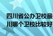 四川省公办卫校最好的有哪几个（2022年四川哪个卫校比较好）