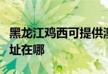 黑龙江鸡西可提供澳柯玛饮水设备维修服务地址在哪