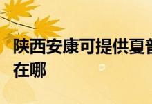 陕西安康可提供夏普空气净化器维修服务地址在哪