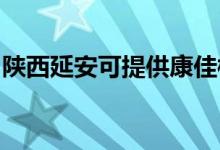 陕西延安可提供康佳榨汁机维修服务地址在哪