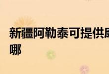 新疆阿勒泰可提供康佳榨汁机维修服务地址在哪