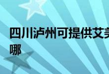 四川泸州可提供艾美特榨汁机维修服务地址在哪