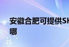 安徽合肥可提供SKG榨汁机维修服务地址在哪