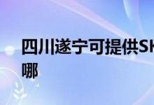 四川遂宁可提供SKG榨汁机维修服务地址在哪