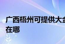 广西梧州可提供大金空气净化器维修服务地址在哪