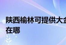 陕西榆林可提供大金空气净化器维修服务地址在哪