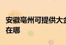 安徽亳州可提供大金空气净化器维修服务地址在哪