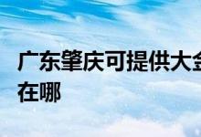 广东肇庆可提供大金空气净化器维修服务地址在哪