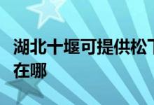 湖北十堰可提供松下空气净化器维修服务地址在哪