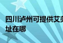 四川泸州可提供艾美特空气净化器维修服务地址在哪