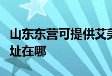 山东东营可提供艾美特空气净化器维修服务地址在哪