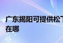 广东揭阳可提供松下空气净化器维修服务地址在哪