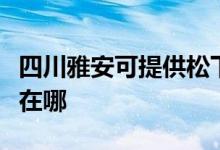 四川雅安可提供松下空气净化器维修服务地址在哪