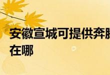 安徽宣城可提供奔腾空气净化器维修服务地址在哪