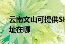 云南文山可提供SKG空气净化器维修服务地址在哪