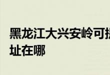 黑龙江大兴安岭可提供海尔挂烫机维修服务地址在哪