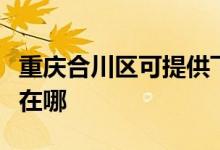 重庆合川区可提供飞利浦挂烫机维修服务地址在哪