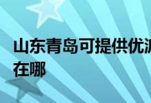 山东青岛可提供优派空气净化器维修服务地址在哪