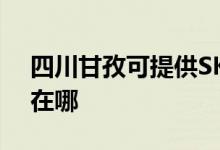 四川甘孜可提供SKG健身器材维修服务地址在哪