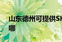 山东德州可提供SKG电吹风维修服务地址在哪