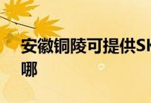 安徽铜陵可提供SKG电吹风维修服务地址在哪