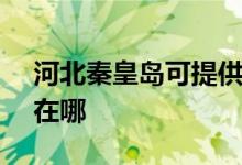 河北秦皇岛可提供SKG电吹风维修服务地址在哪