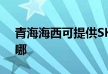 青海海西可提供SKG剃须刀维修服务地址在哪