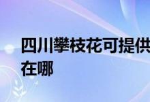 四川攀枝花可提供SKG剃须刀维修服务地址在哪