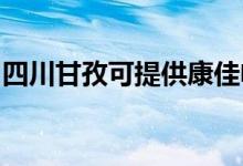 四川甘孜可提供康佳电吹风维修服务地址在哪