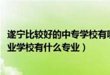 遂宁比较好的中专学校有哪些专业（2022遂宁市民进中等专业学校有什么专业）