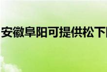 安徽阜阳可提供松下除湿机维修服务地址在哪