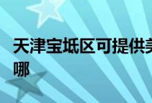 天津宝坻区可提供美妙足浴盆维修服务地址在哪