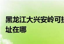 黑龙江大兴安岭可提供红心足浴盆维修服务地址在哪