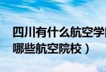 四川有什么航空学院是重点（2022年四川有哪些航空院校）