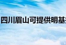 四川眉山可提供明基投影机维修服务地址在哪