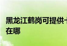 黑龙江鹤岗可提供卡西欧投影机维修服务地址在哪