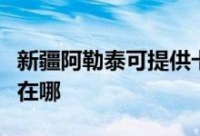 新疆阿勒泰可提供卡西欧投影机维修服务地址在哪