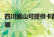 四川眉山可提供卡西欧投影机维修服务地址在哪