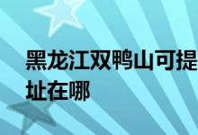 黑龙江双鸭山可提供aigo投影机维修服务地址在哪