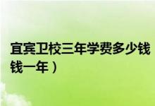 宜宾卫校三年学费多少钱（2022四川宜宾卫生学校学费多少钱一年）